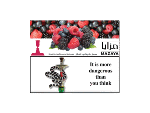 MAZAYA 250g Mixed Berries