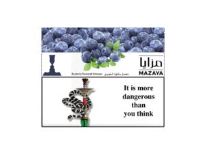 MAZAYA 250g Blueberry